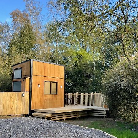 Tiny House In The Bush - A Minute From Town Centre Ruapehu Unique Stays Raetihi Exteriör bild
